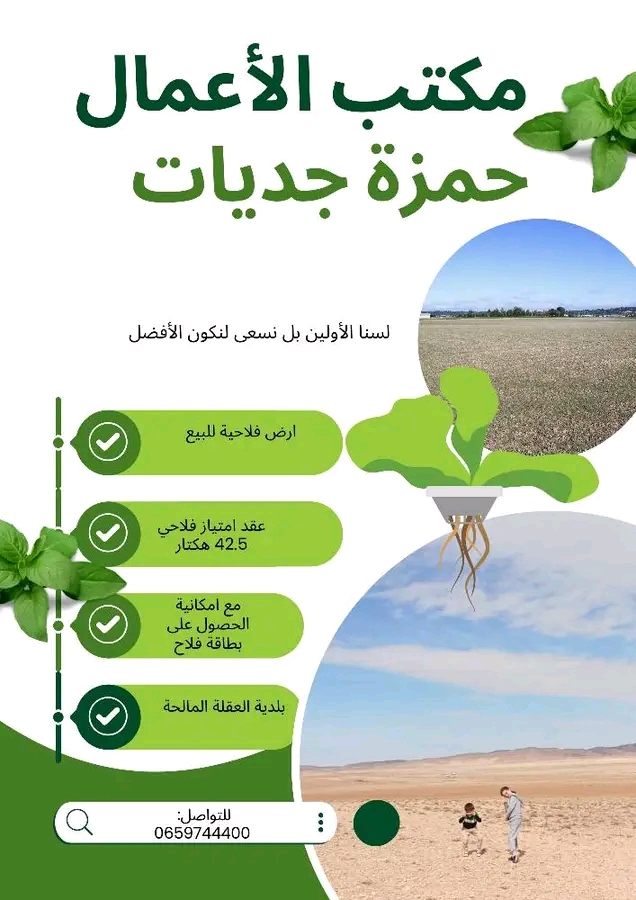 صورة الخدمة