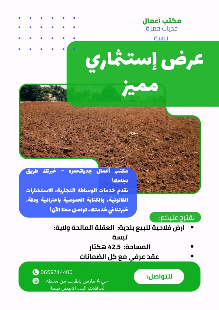 صورة الخدمة